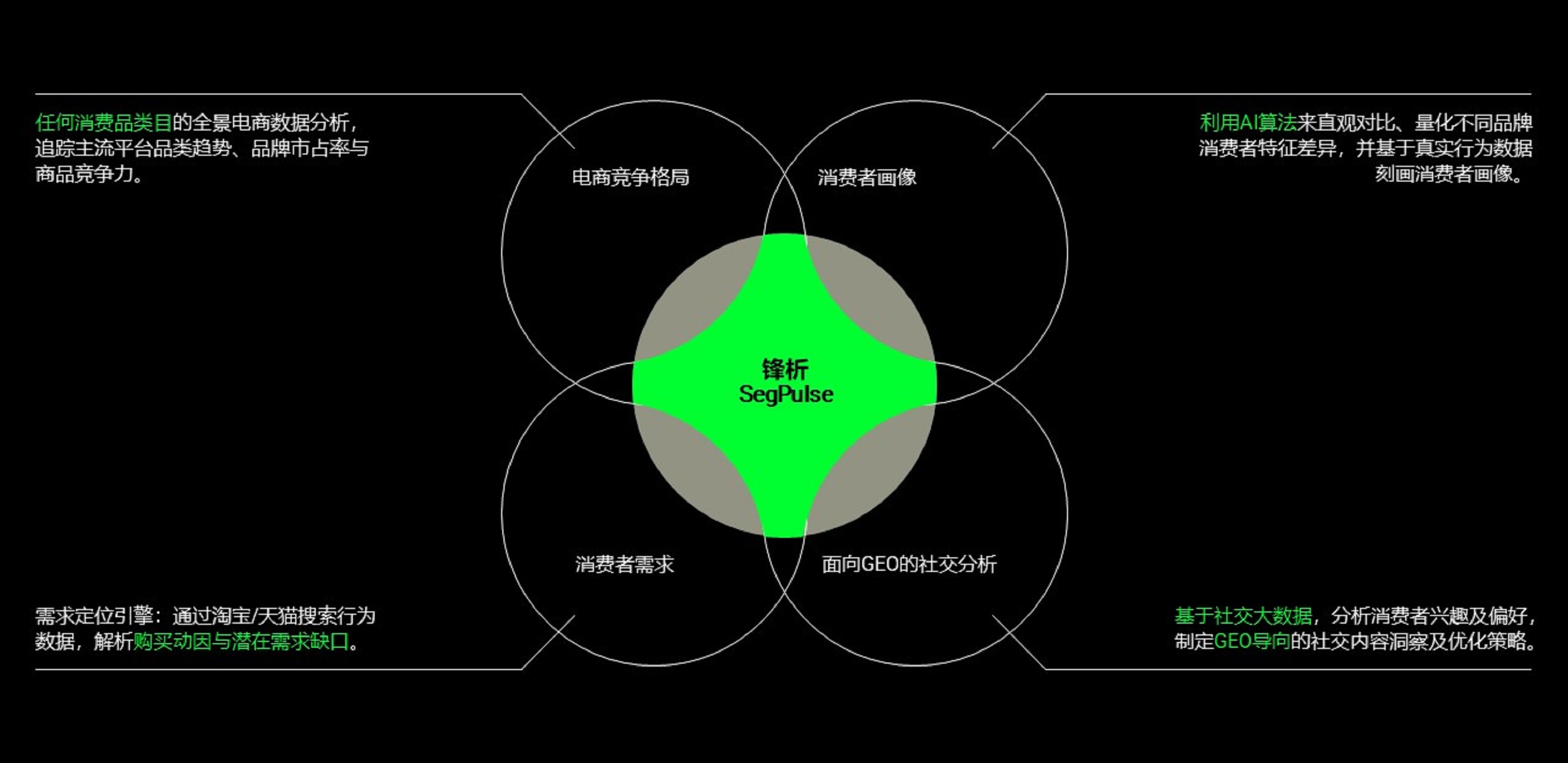 SegPulse 解决方案